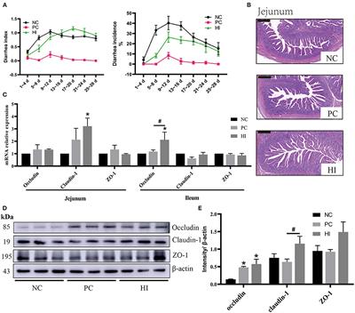 Dietary Hermetia illucens Larvae Meal Improves Growth Performance and Intestinal Barrier Function of Weaned Pigs Under the Environment of Enterotoxigenic Escherichia coli K88